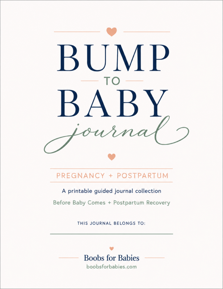 Bump to Baby Journal