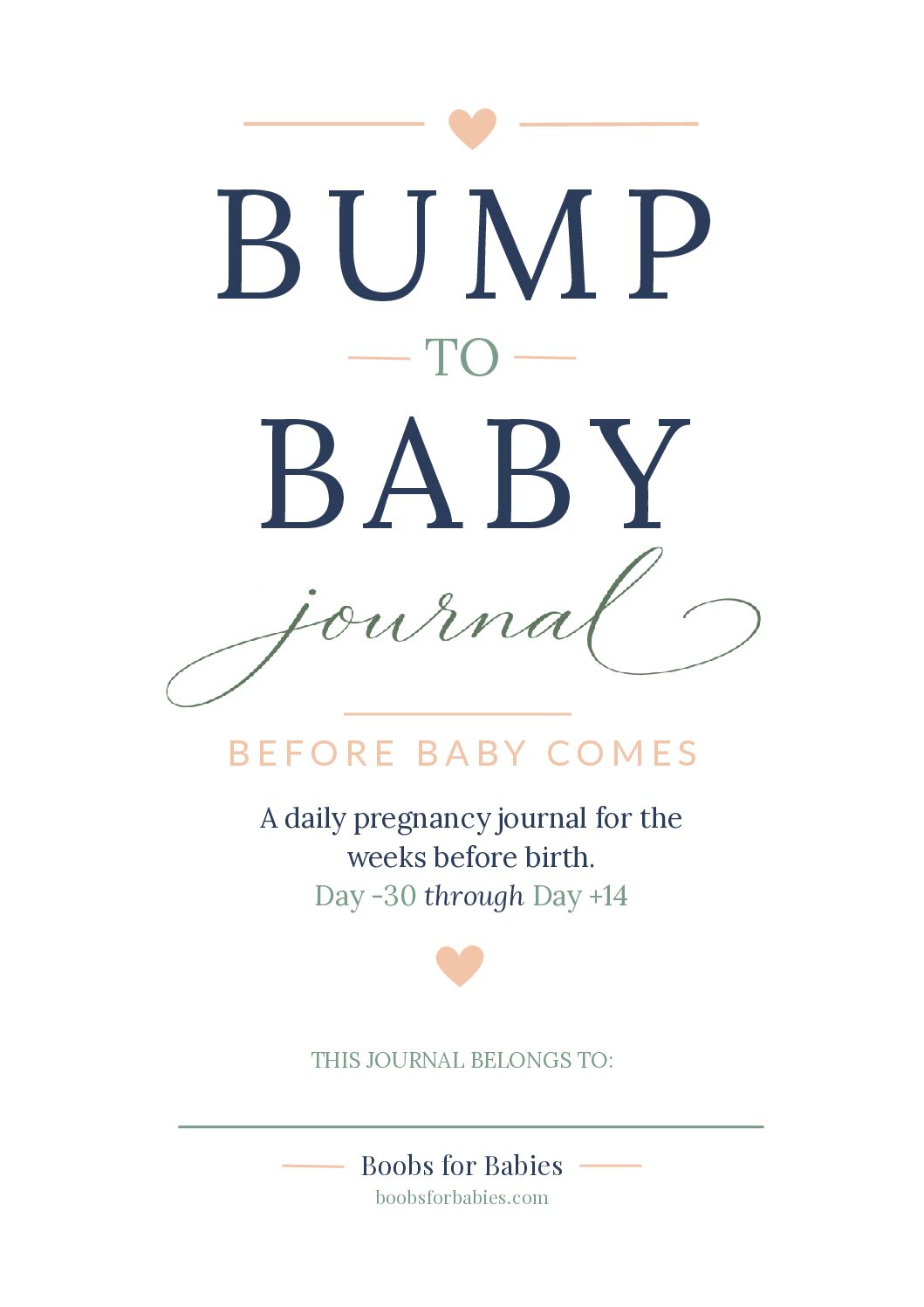 Cover of the Bump to Baby Journal